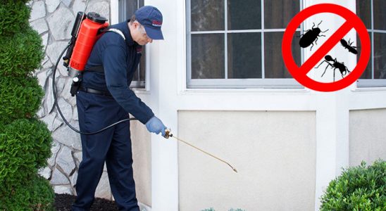 Lalapaşa Dezenfeksiyon böcek ilaçlama ve haşere kontrolü — ilaclama-tr.com
